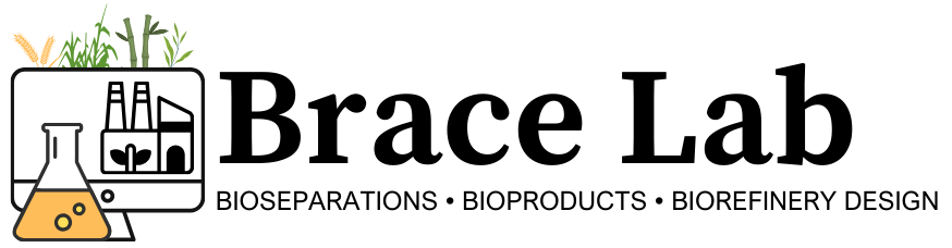 Brace Lab